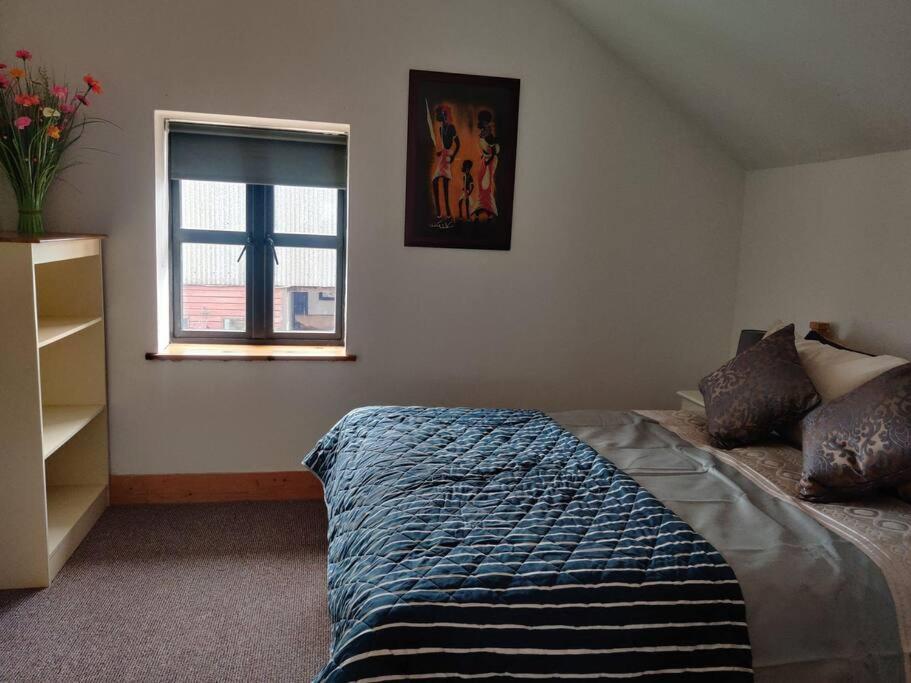 Kingsford Renovated Old Cottage Wexford Luaran gambar