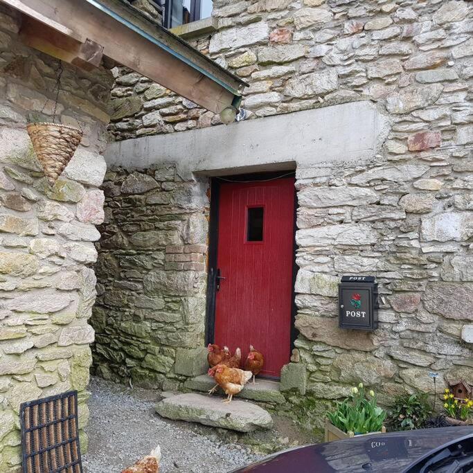 Kingsford Renovated Old Cottage Wexford Luaran gambar