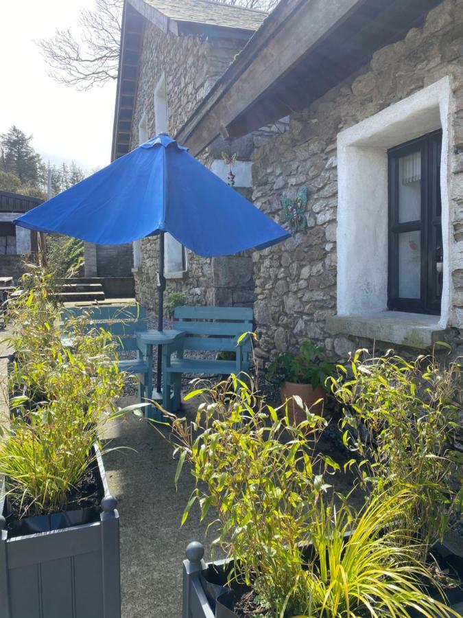 Kingsford Renovated Old Cottage Wexford Luaran gambar